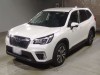FORESTER 2018/4WD PREMIUM/SK9